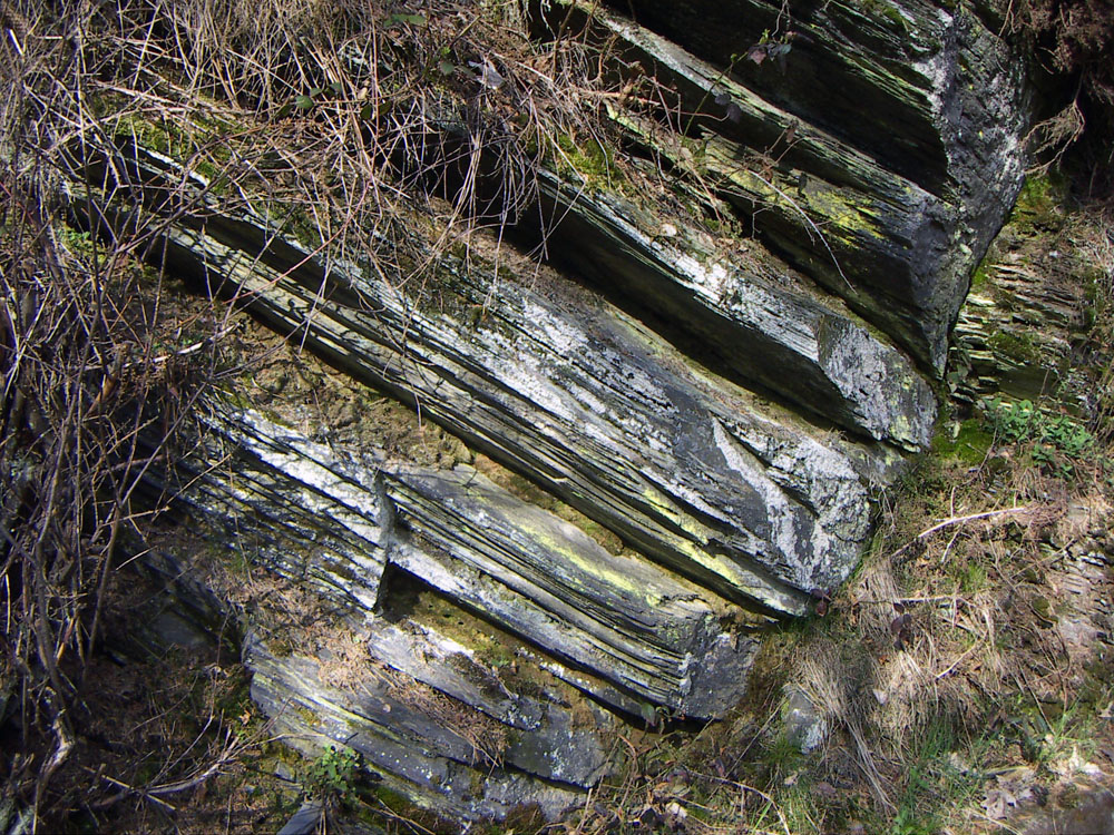 Anstehender unterdevonischer Tonschiefer in der nördlichen Eifel. Die Verwitterung macht die dünnschichtige Spaltbarkeit deutlich sichtbar.
Foto: © Caronna 
CC BY-SA 3.0